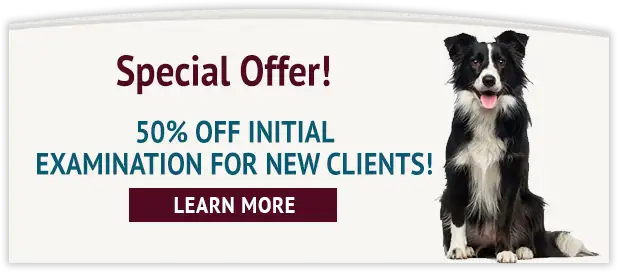 Special Offer! 50% OFF INITIAL EXAMINATION FOR NEW CLIENTS