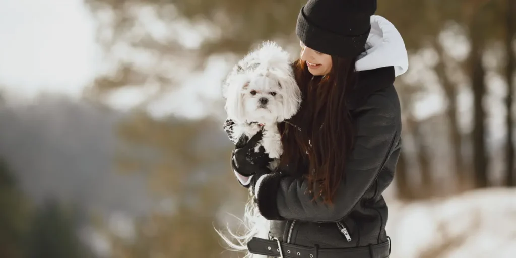 getting your dog ready for winter