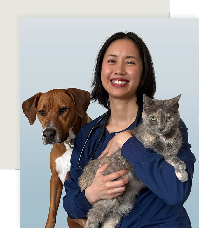 Dr. Adrienne Hou